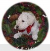 A photo of Rock, a white standard poodle