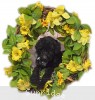 A photo of Bella, a blue standard poodle