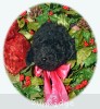 A photo of Patricia, a black standard poodle puppy