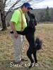 A photo of Gigi, a black standard poodle