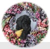 A photo of Goose, a silver standard poodle puppy