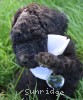 A photo of Waldon, an abstract silver standard poodle puppy