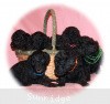 A photo of Sunridge Midnight Princess, a blue standard poodle