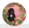 A photo of Sunridge Midnight Princess, a blue standard poodle