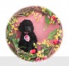 A photo of Sunridge Midnight Princess, a blue standard poodle