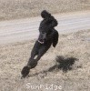 A photo of Sunridge Midnight Princess, a blue standard poodle