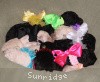 A photo of Sunridge Untouchable Twilight Reverie, a black standard poodle