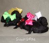 A photo of Sunridge Untouchable Twilight Reverie, a black standard poodle