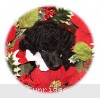 A photo of Sunridge Untouchable Twilight Reverie, a black standard poodle