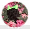 A photo of X. Twilight Princess, a silver standard poodle