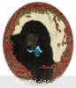 A photo of Sunridge Midnight Blue, a blue standard poodle