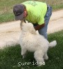 A photo of Prairieland Rock Me Babe, a white standard poodle