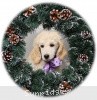 A photo of Sunridge Unforgettable Crystal Dreamz, a cream standard poodle