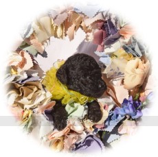 Tala, a silver female young adult Standard Poodle