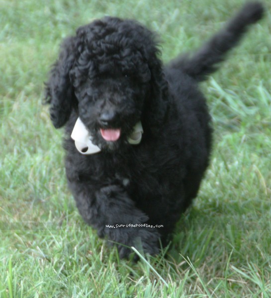 Photo of Hermes