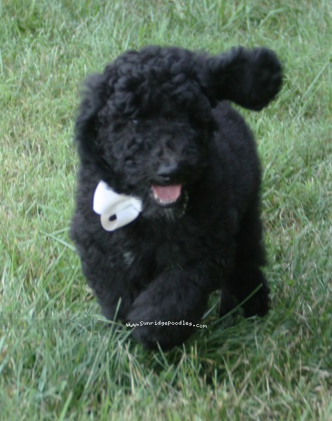 Photo of Hermes