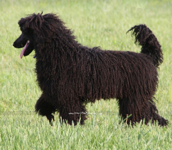 Photo of Marz
