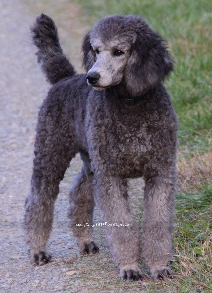 Photo of Cherie