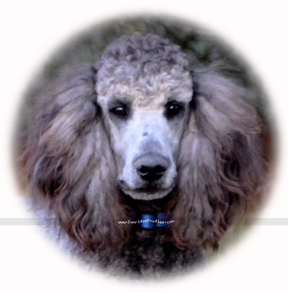 Photo of Belton