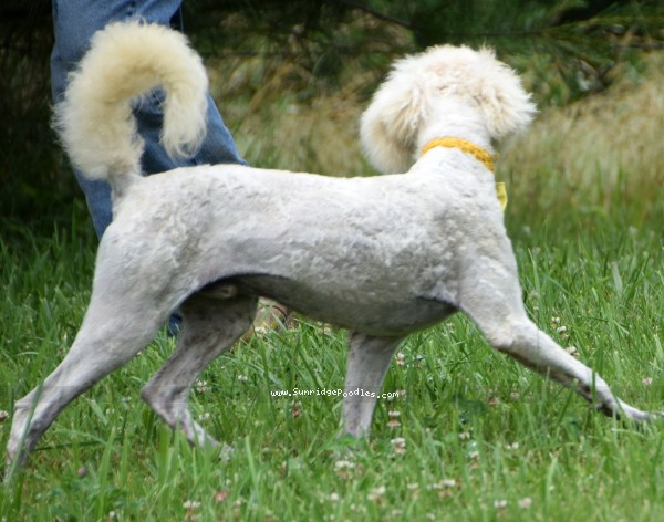 Photo of Beauford