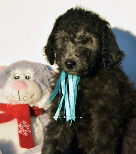 Photo of Rafael
