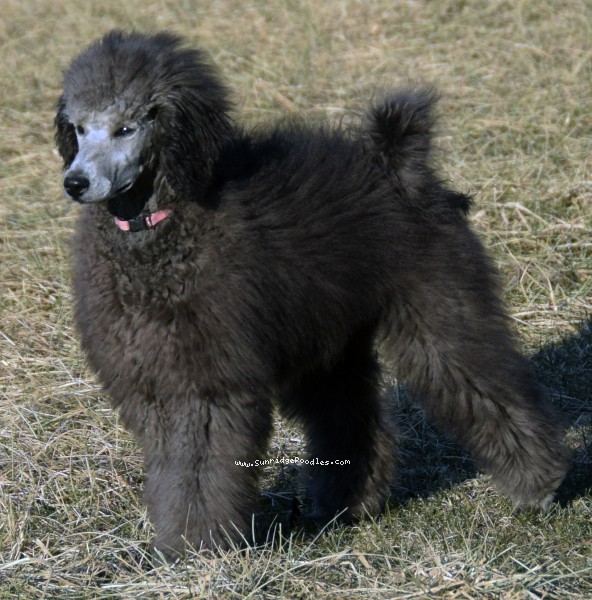 Photo of Philomena