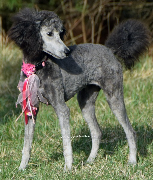 Photo of Philomena