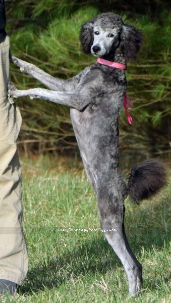 Photo of Philomena