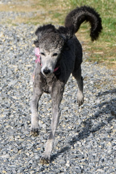 Photo of Philomena