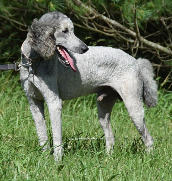 Photo of Asher