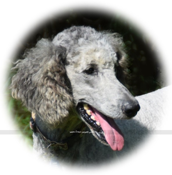 Photo of Asher