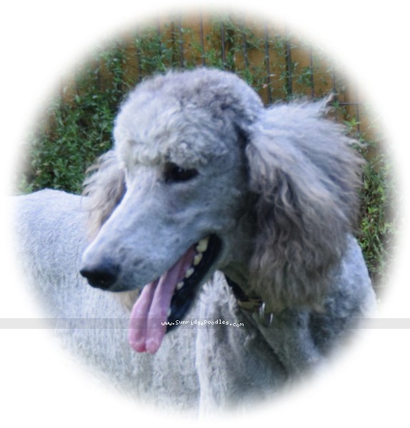 Photo of Asher