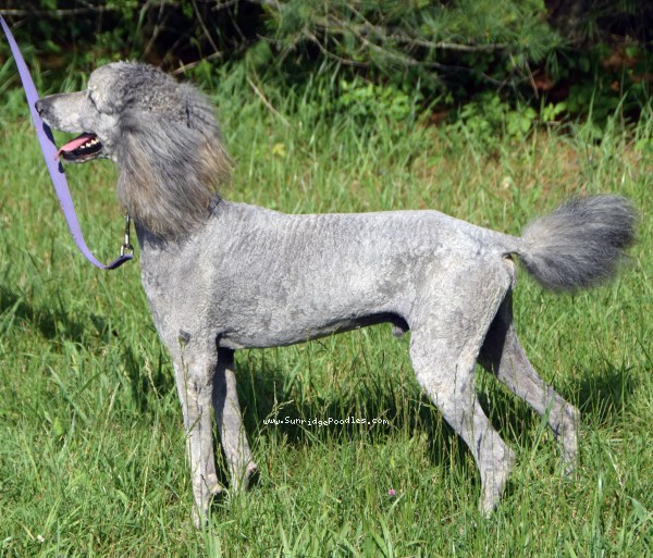 Photo of Asher