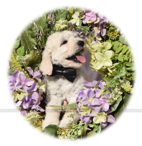 Photo of Braedon