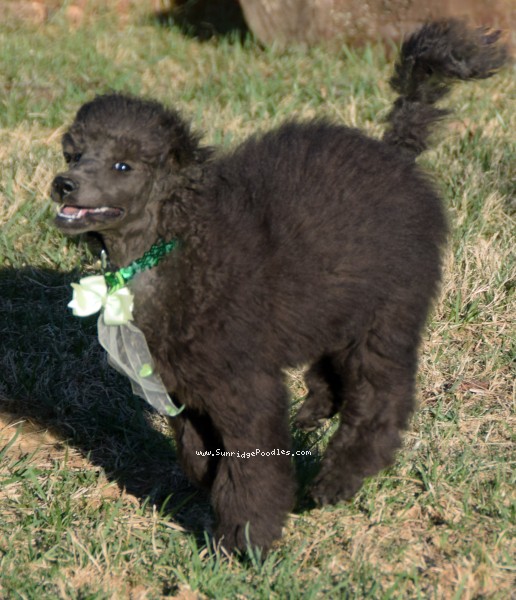 Photo of Judah