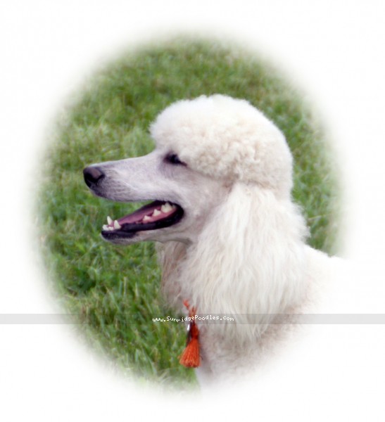Photo of Lenox