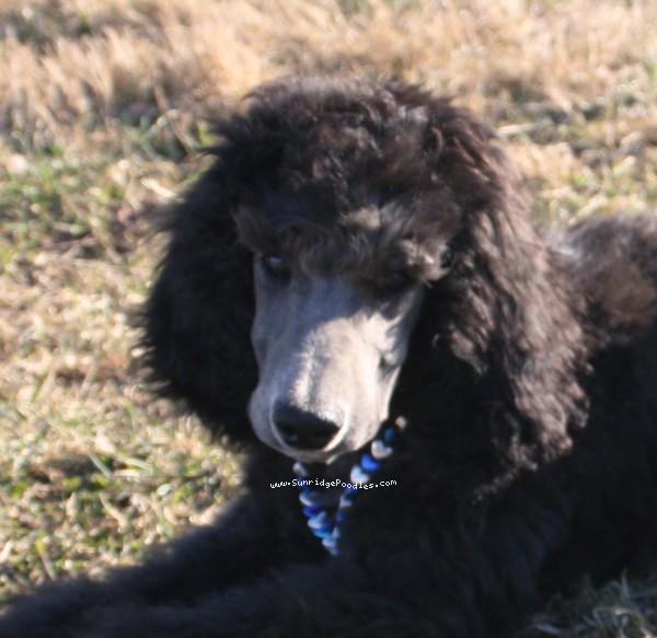Photo of Zeke