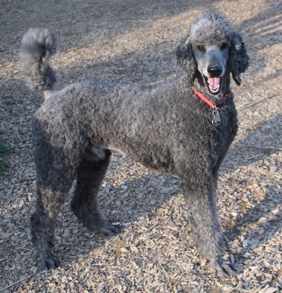 Photo of Zeus