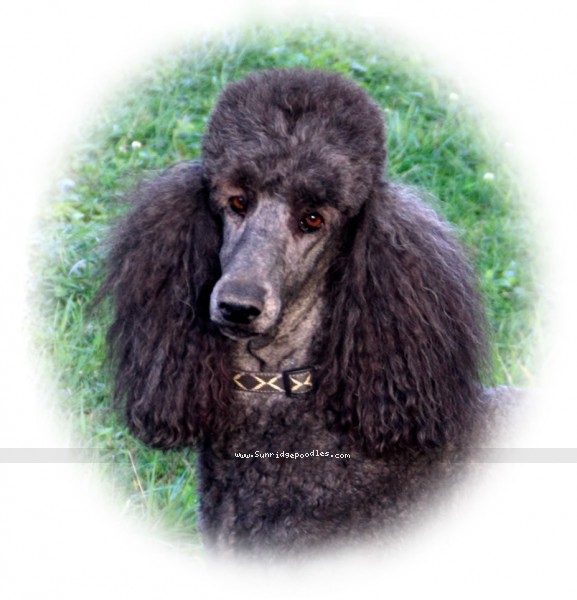 Photo of Kaylee