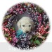 A photo of Lennox, a white standard poodle puppy