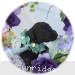 A photo of Liberty, a silver standard poodle puppy